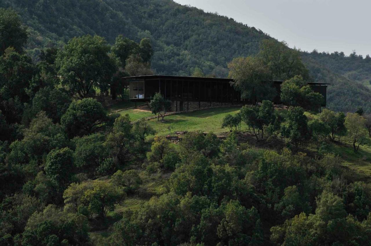 Hotel Vik Chile à San Vicente de Tagua Tagua Extérieur photo